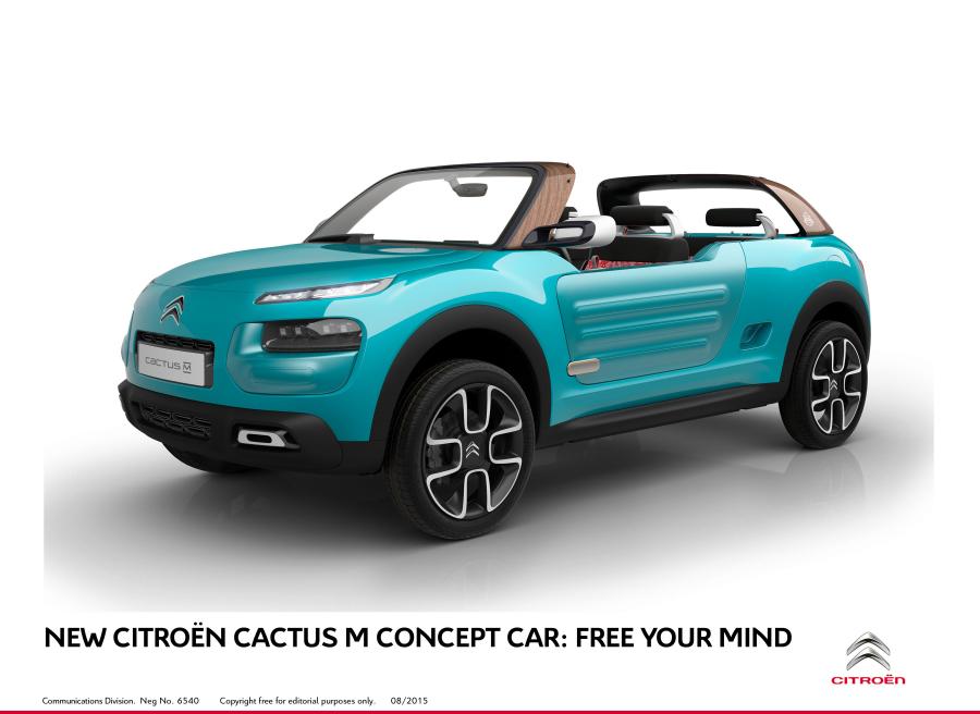  Citroen Cactus M Concept 2015 года  (фото 65 из 66)